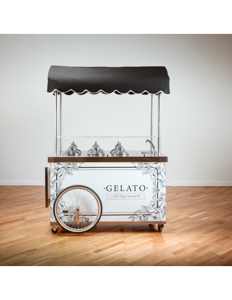 Modelo Full Optional