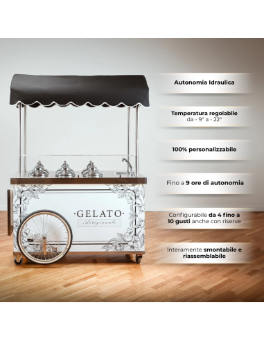 Modelo Full Optional