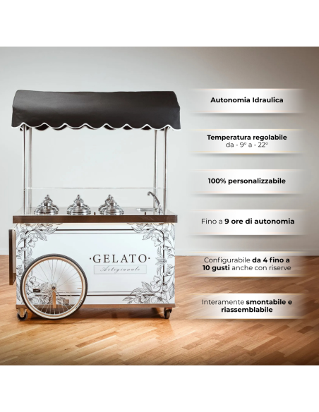 Modelo Full Optional