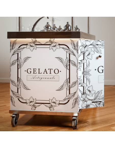 Modelo Full Optional